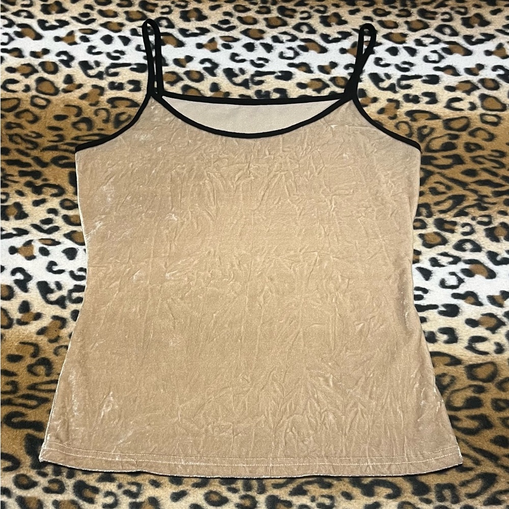 Elegant Tan Velvet Women's Top